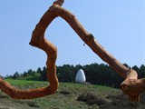 9 KLP 09 08