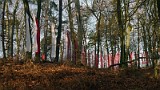 Waldkirche3