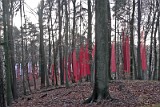 Waldkirche_2