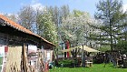 IMG_41