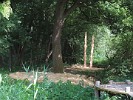 IMG_6847